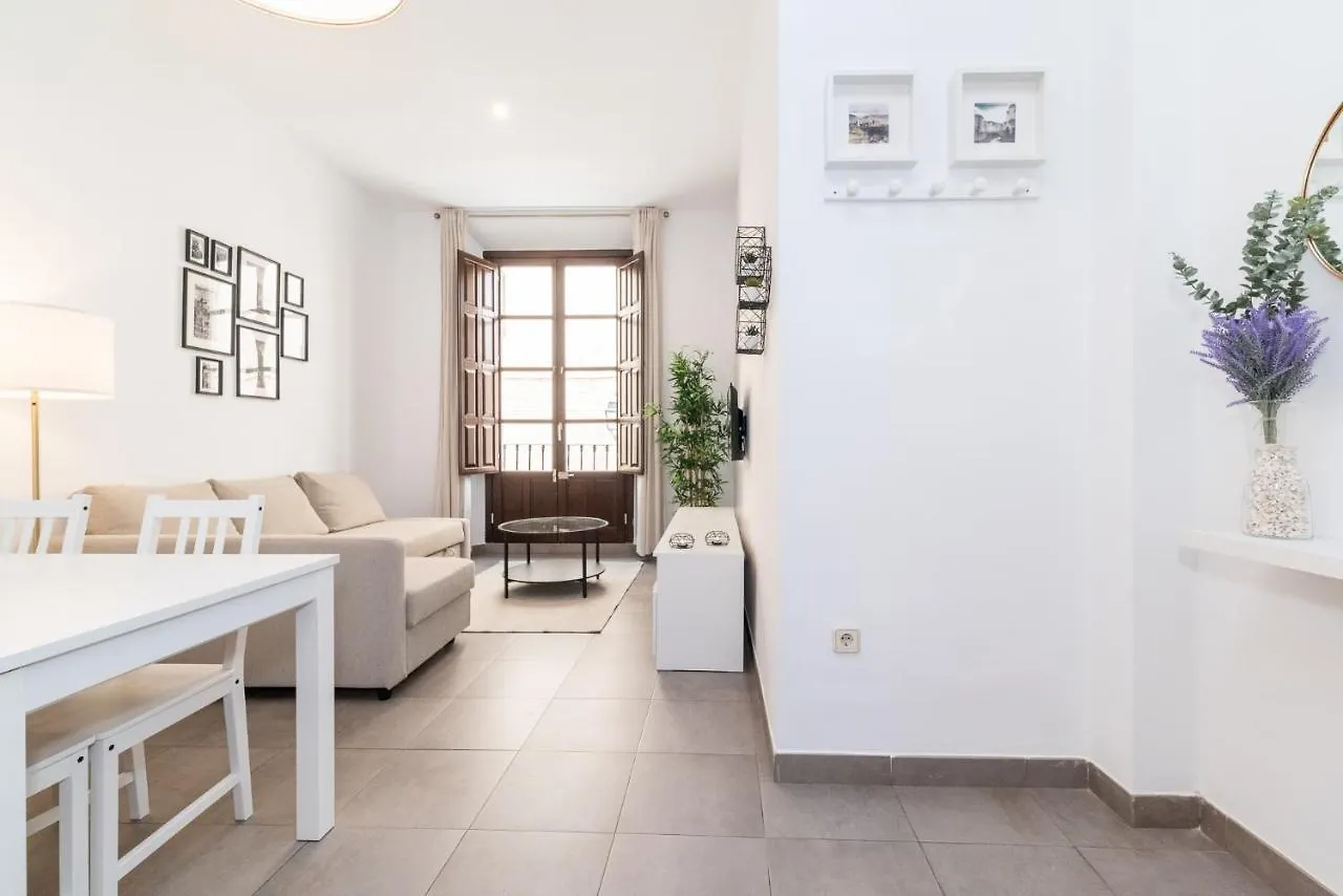 Apartment Modern Cozy Flat In Granada'S City Centre 1